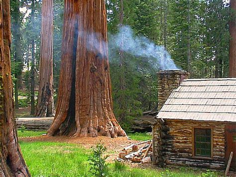 Dream House of the Day: Redwood Forest Cabin