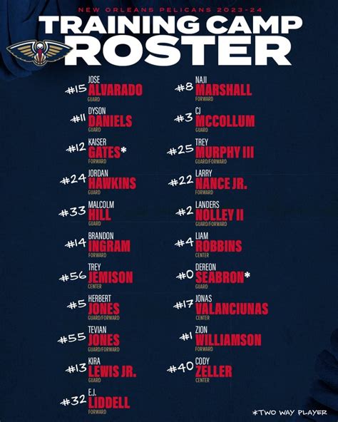 Pelicans sign 6 players, Training Camp roster official - Sportando