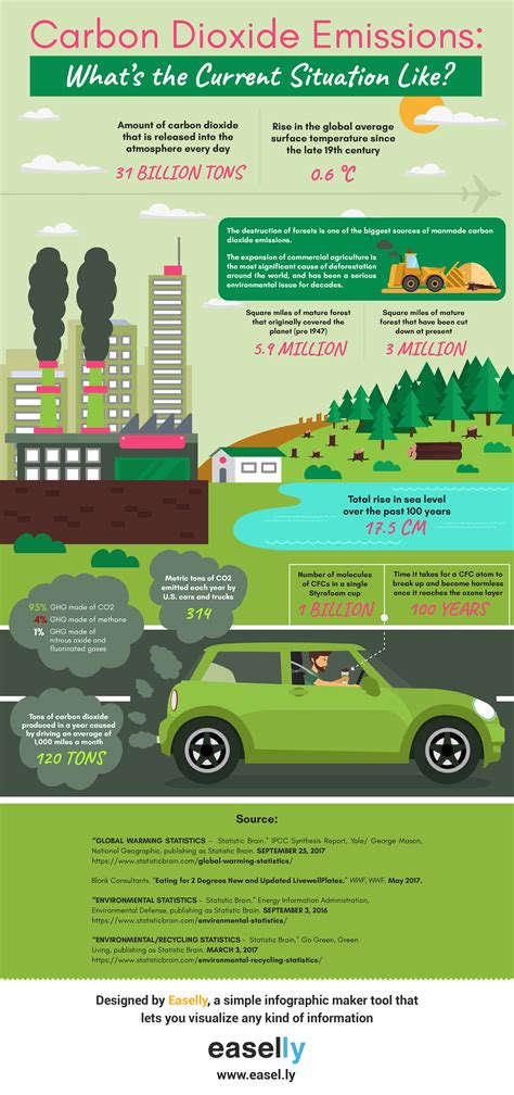 Do You Know Your Carbon Footprint? A Case Study & Infographics