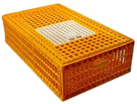 Plastic Transport Crate for Live Poultry with Access Door - Afrimash ...