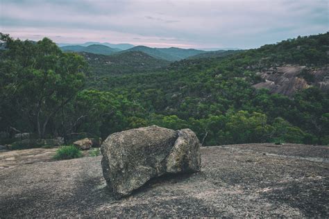 TOP 5 THINGS TO DO IN STANTHORPE | Family Parks