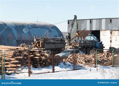 Loader Loads the Logs into a Truck Timber Stock Photo - Image of moving ...