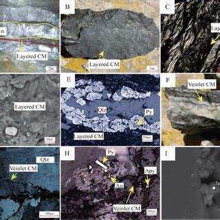 Photographs of the layered and veinlet CMs from the Bumo gold deposit ...