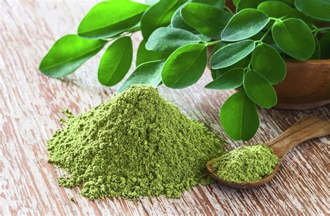 Moringa: An Excellent Natural Remedy for your Body - Latinos turned Gringos