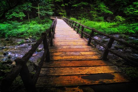 Wood Bridge Over A Creek In A Forest by John Wang