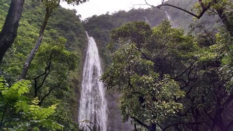 Top 7 Maui Waterfalls Travelers Must See to Believe