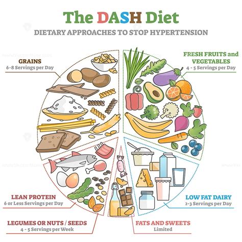 The DASH food diet as dietary approach to stop hypertension outline diagram – VectorMine