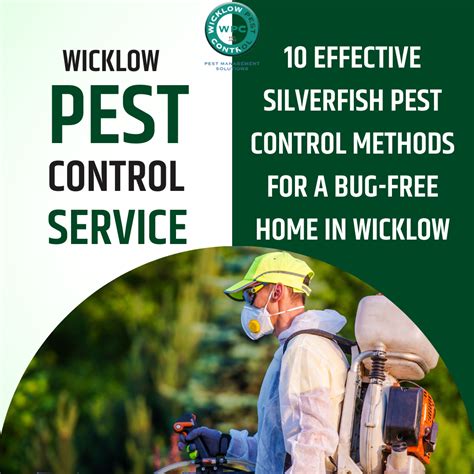 10 Effective Silverfish Pest Control Methods for a Bug-Free Home in Wicklow | by Mike M | May ...