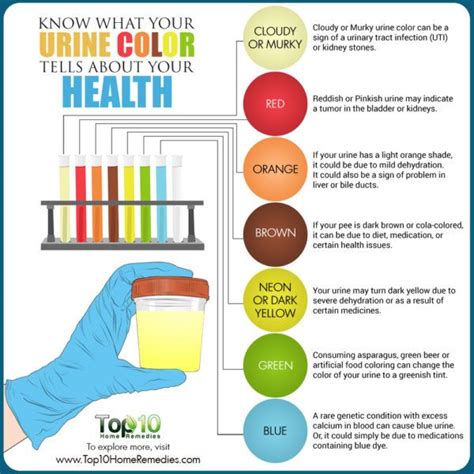 What does it mean if your urine changes color – The Meaning Of Color