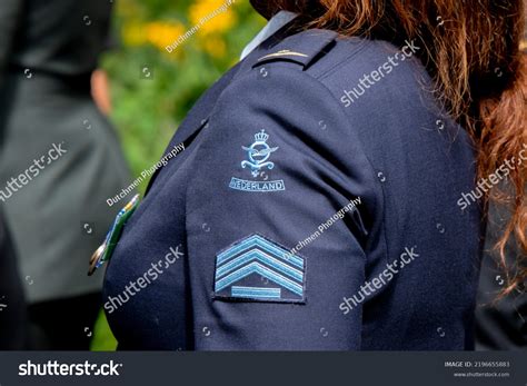 24 Royal Airforce Logo Images, Stock Photos & Vectors | Shutterstock