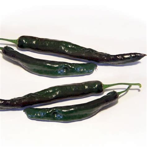 Chilaca Pepper - Cayenne Diane | Stuffed hot peppers, Stuffed peppers ...