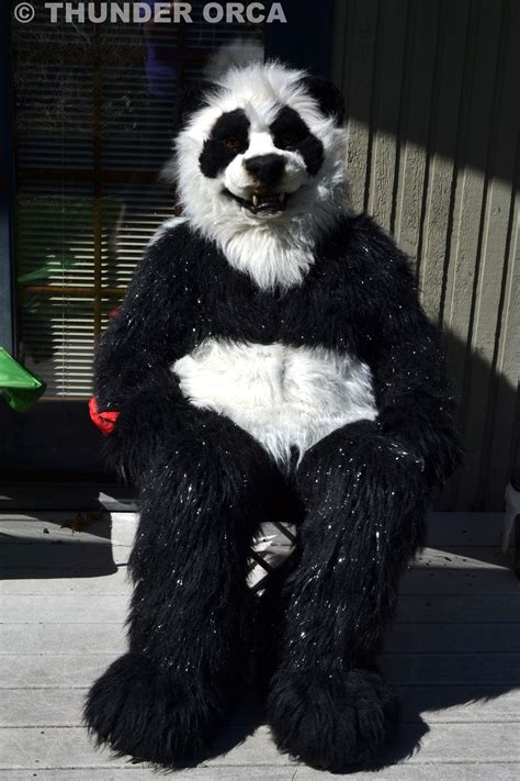 My Panda Fursuit. ^_^ — Weasyl