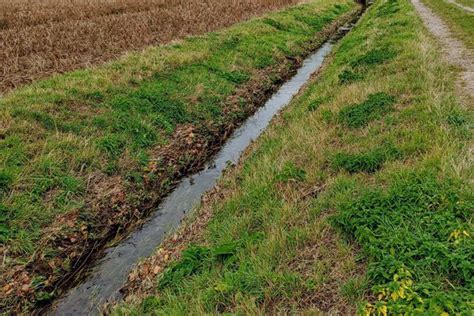 Agricultural Runoff And Reducing Farm Pollution - MAGODA