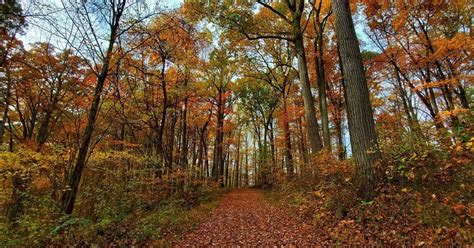 Fall foliage destinations in Central Ohio