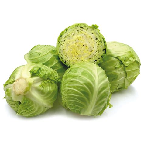 Organic Cabbage Seeds – Seed2Plant