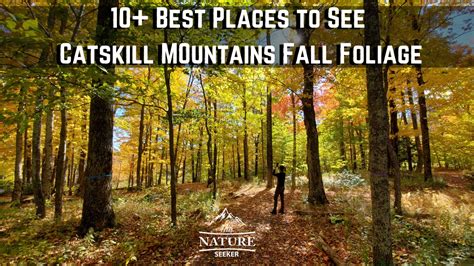 13 Best Places to Catch Catskills Fall Foliage in 2023