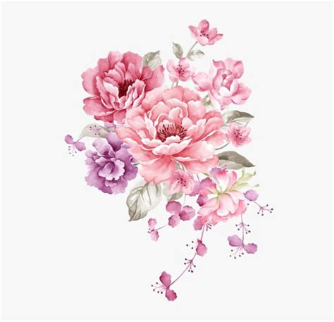 flowers transparent background clipart