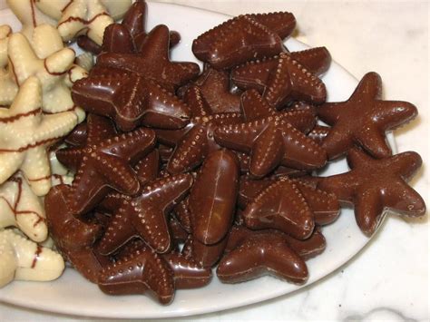 Chocolate Starfish : r/shittyfoodporn