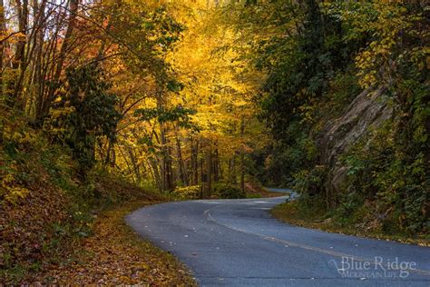 15 Best Things to do in Maggie Valley NC - Blue Ridge Mountain Life