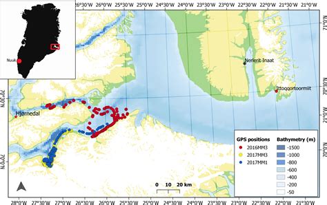 Narwhal Habitat Map