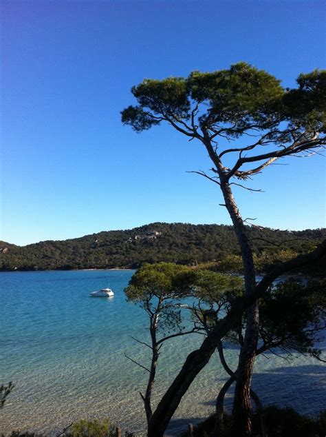 17 Best images about ⧭☼ Porquerolles ⧭☼ on Pinterest | Beaches, Islands ...