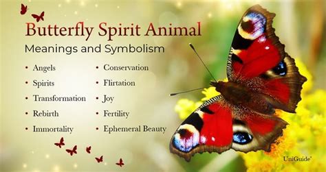 Butterfly Meaning & Symbolism & the Butterfly Spirit Animal