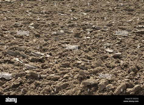 Loamy Soil Stock Photo - Alamy