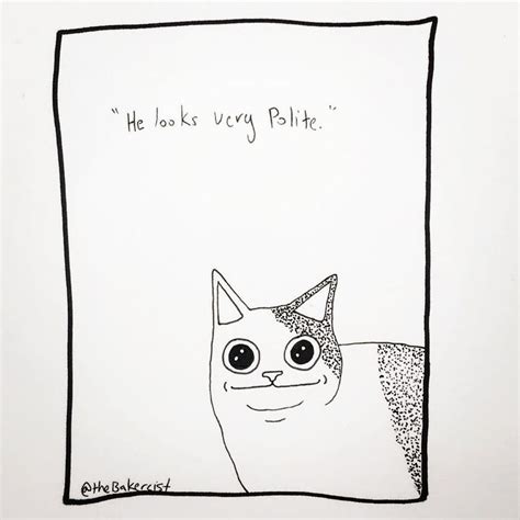 He looks very polite. #cat #cats #catmeme #meme #memes #drawing #stuffidraw #myart # ...