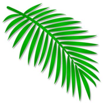 Palm Branch Image - ClipArt Best