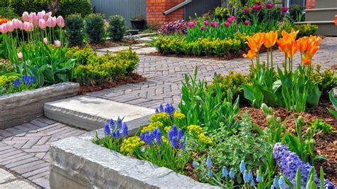 15 Annual Plants Perfect For Your Front Yard