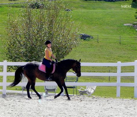 Photos of Horseback Riding Lessons - High Meadows Farms