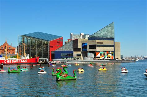 National Aquarium in Baltimore, Baltimore