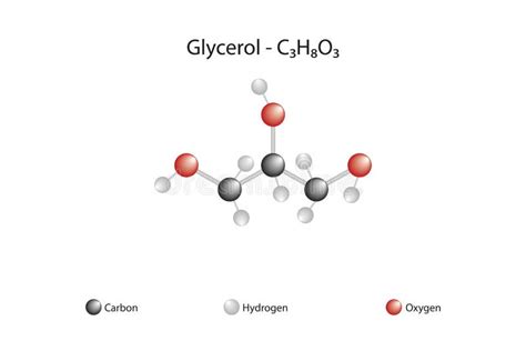 Molecular Formula and Chemical Structure of Glycerol Stock Vector ...