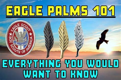 Eagle Scout Palms 101: Everything You Need To Know