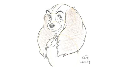 Learn to Draw: Lady from ‘Lady & The Tramp’ | Disney Parks Blog