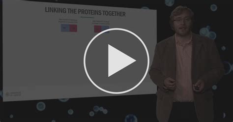 How to design your fusion protein - Putting proteins to work for us ...