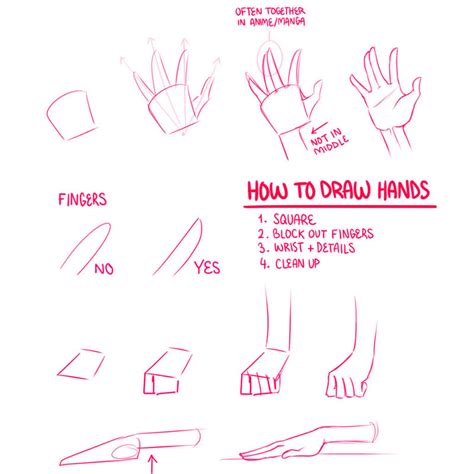 How To Draw Hands by Lily-Draws on DeviantArt