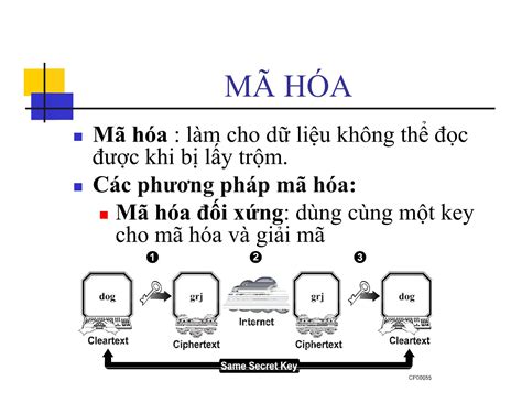 Bài giảng Tường lửa (Firewall)