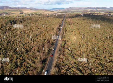 Aerial view from drone of damage to woodland at Edzell from Storm Corrie on 31st January 2022 ...