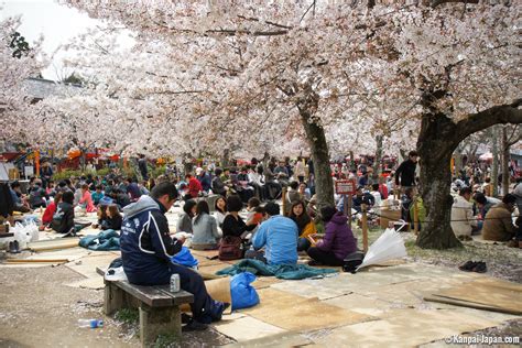 Maruyama park - The big sakura public garden in Kyoto