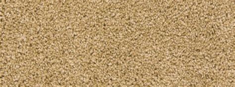 Empire Today Carpet Flooring Reviews 2024