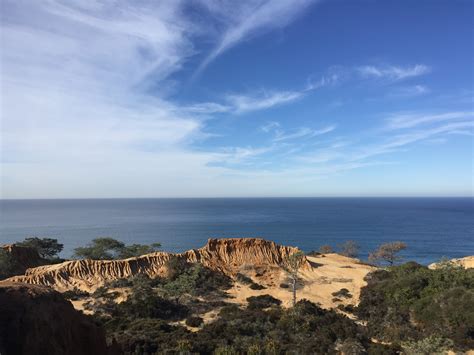 Torrey Pines State Reserve | Danger Ranger Bear