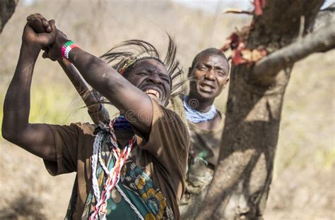 Hadzabe Hunter in a African Bush Looking for Honey in Trees Editorial Photo - Image of lifestyle ...