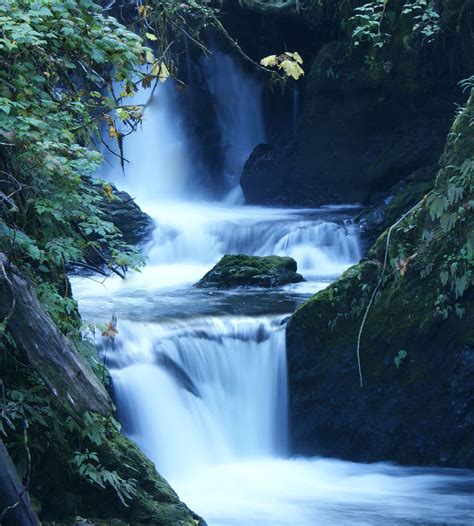 Quinault Waterfall Free Stock Photo - Public Domain Pictures