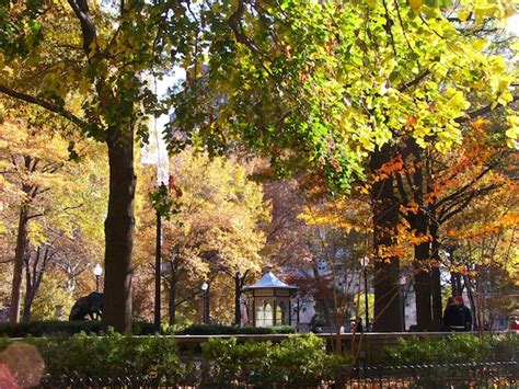 Items similar to Rittenhouse Square Park with Beautiful Trees Leaves ...