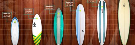 All you need to know about Surfboard - Nature Immerse