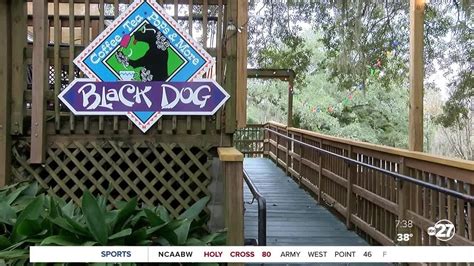 Black Dog Cafe, a dog-friendly coffee shop on Lake Ella - YouTube