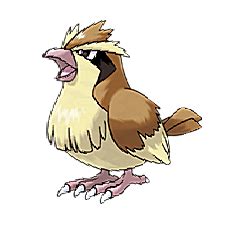 Pidgey - CP, Map, Evolution, Attacks, Locations - for Pokemon Go