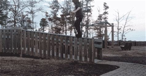 Fence GIF - Find & Share on GIPHY