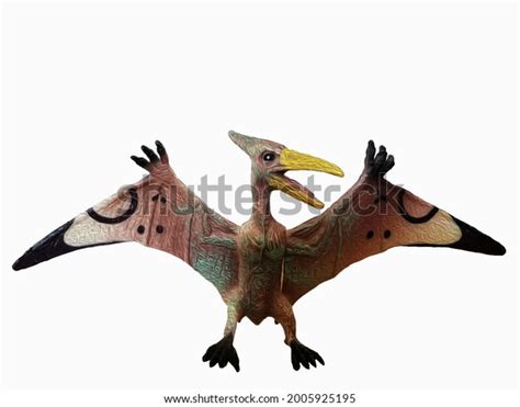 Pterodactyl Wingspan Stock Illustration 2005925195 | Shutterstock